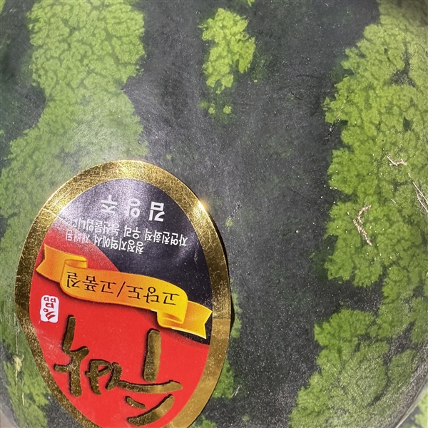 KakaoTalk_20260422_160724120_02.jpg