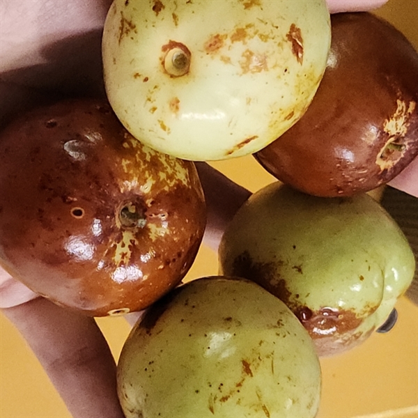 KakaoTalk_Snapshot_20260927_214927.png